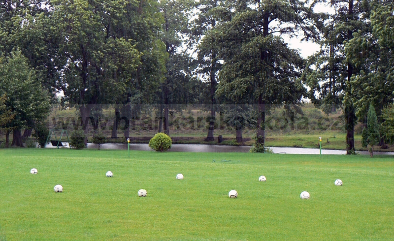 Soust�ed�n� Koliba 2008 - 4.8.2008