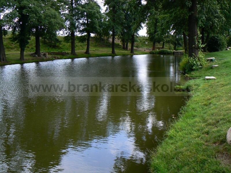 Soust�ed�n� Koliba 2008 - Are�l