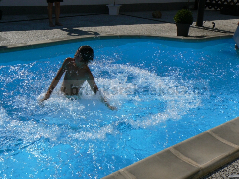 Soust�ed�n� Koliba 2008 - Baz�n