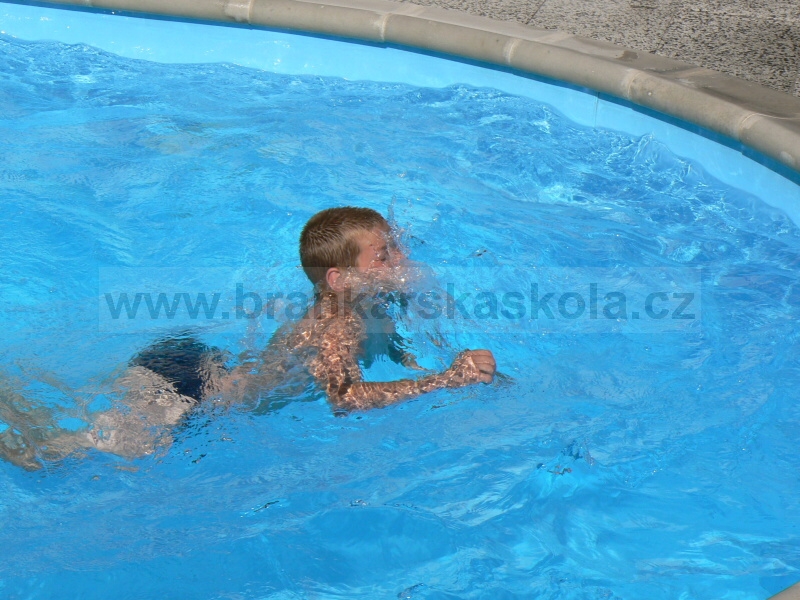 Soust�ed�n� Koliba 2008 - Baz�n