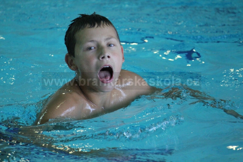 Soust�ed�n� Nymburk 2010 l�to - Ksicht�ky