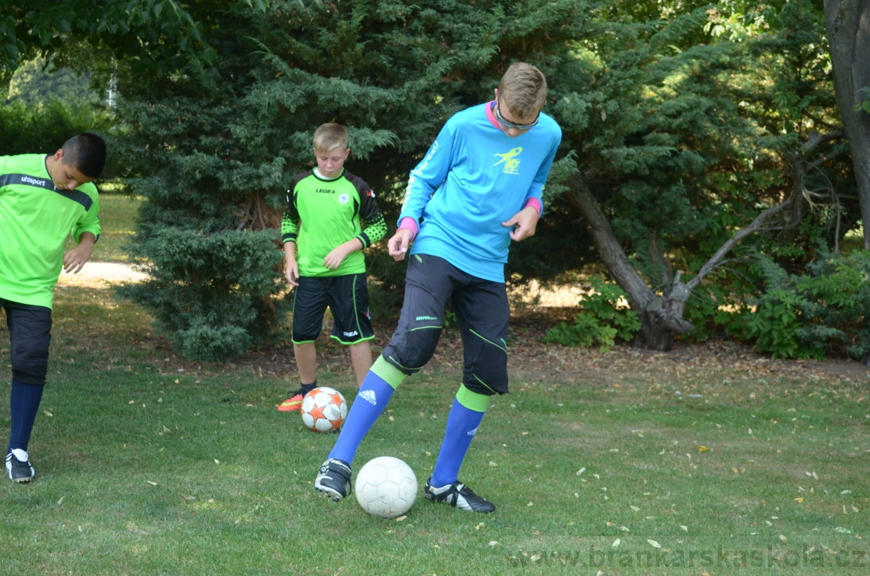 BFŠJCH - Léto 2015 - 17.7.2015