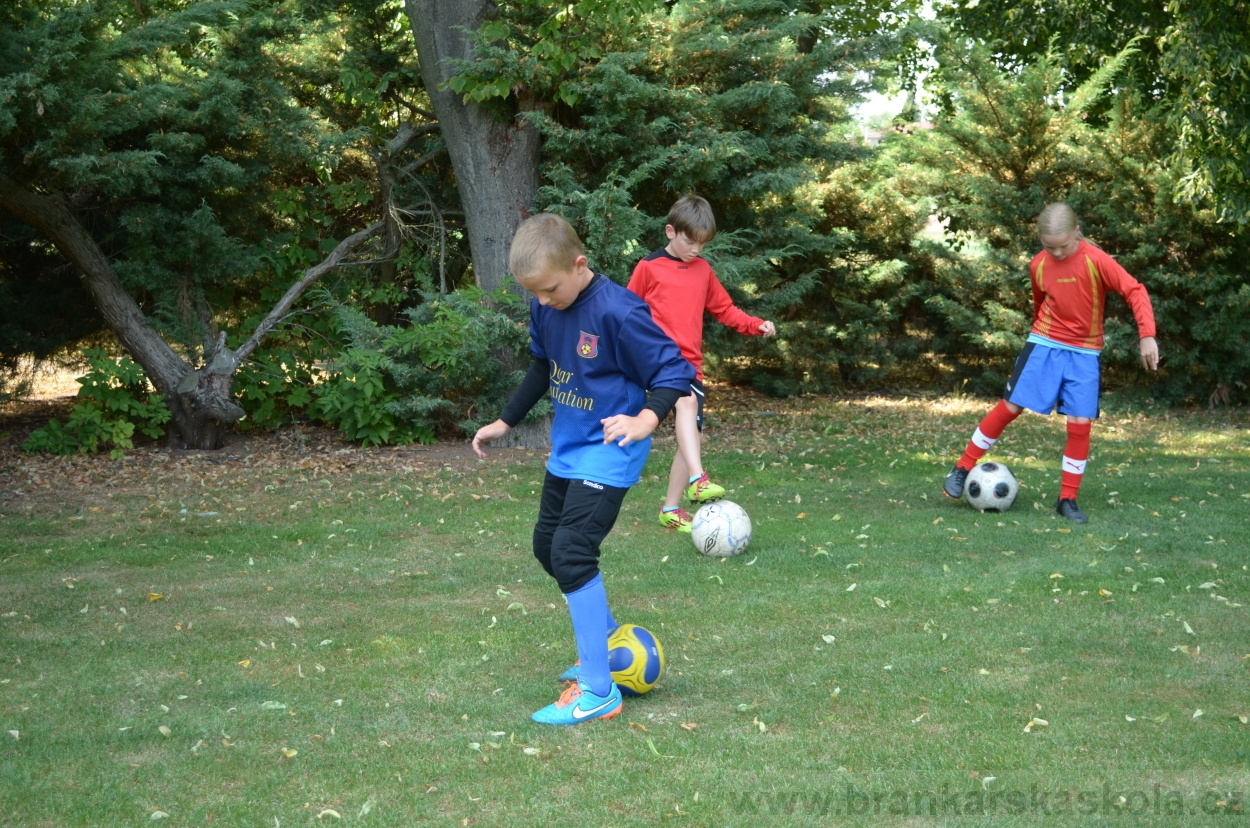 BFŠJCH - Léto 2015 - 17.7.2015