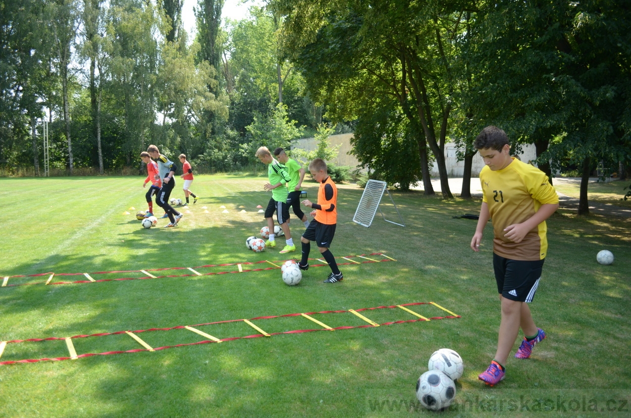 BFŠJCH - Léto 2015 - 17.7.2015