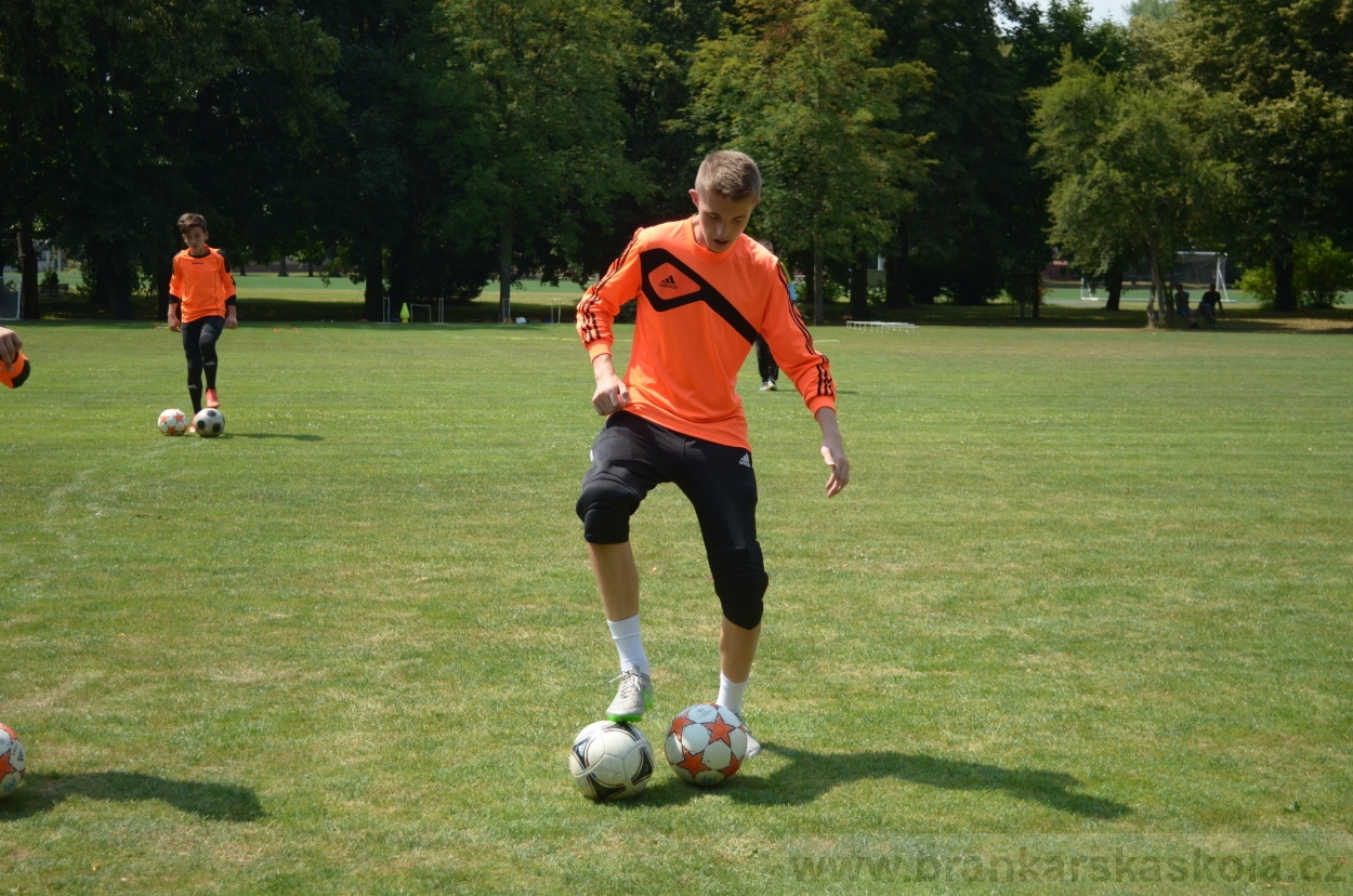 BFŠJCH - Léto 2015 - 17.7.2015