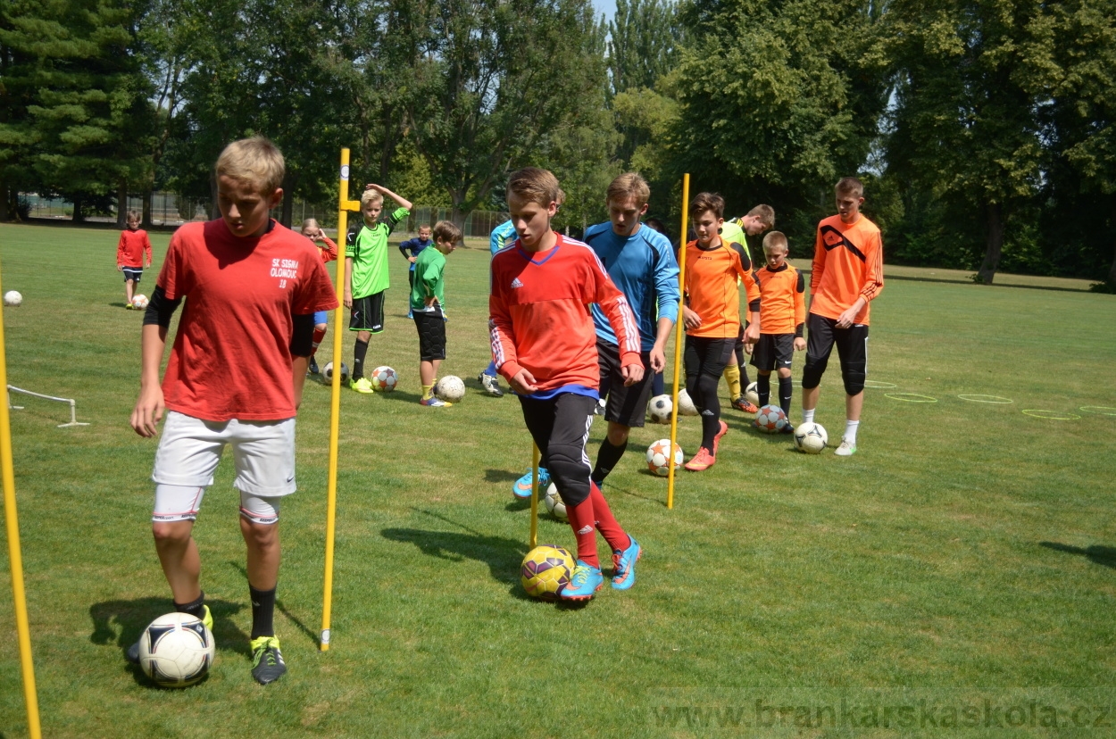 BFŠJCH - Léto 2015 - 17.7.2015