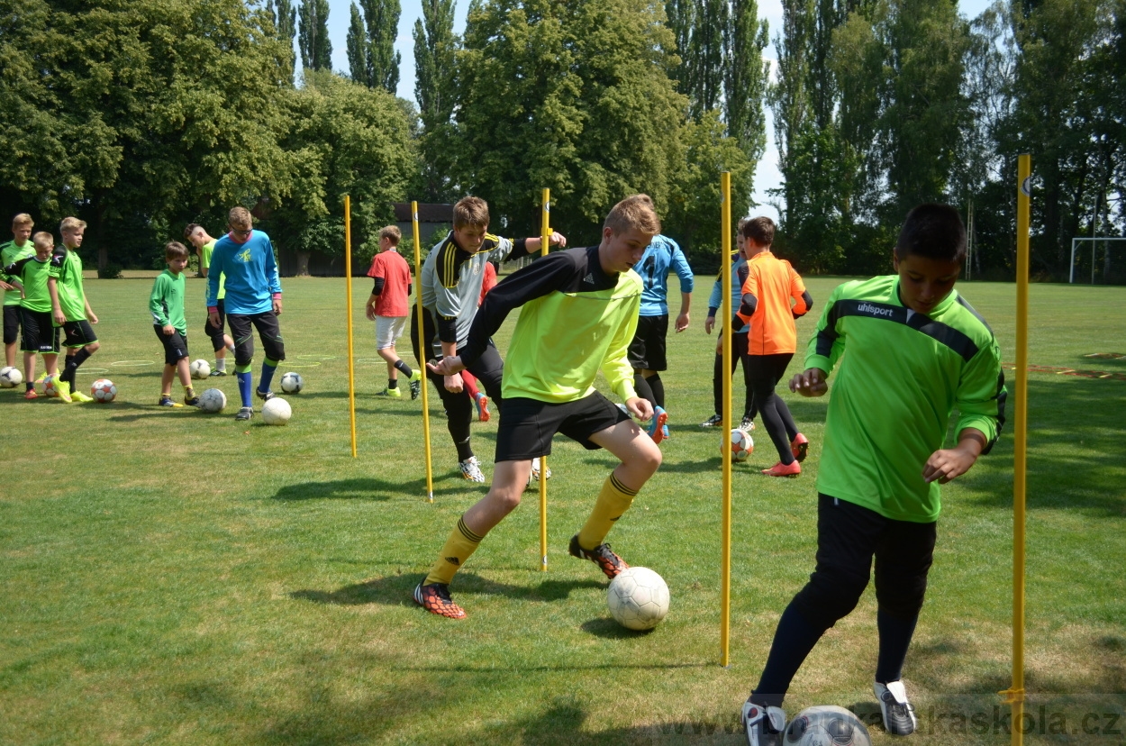 BFŠJCH - Léto 2015 - 17.7.2015