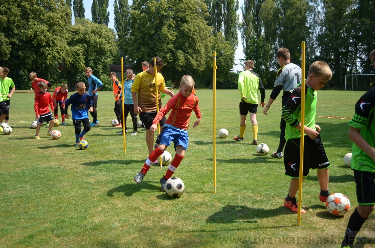BFŠJCH - Léto 2015 - 17.7.2015