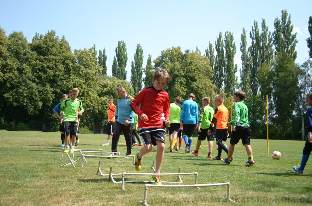 BFŠJCH - Léto 2015 - 17.7.2015