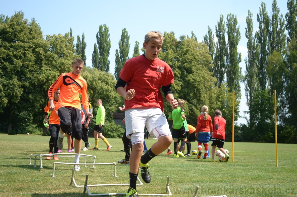 BFŠJCH - Léto 2015 - 17.7.2015