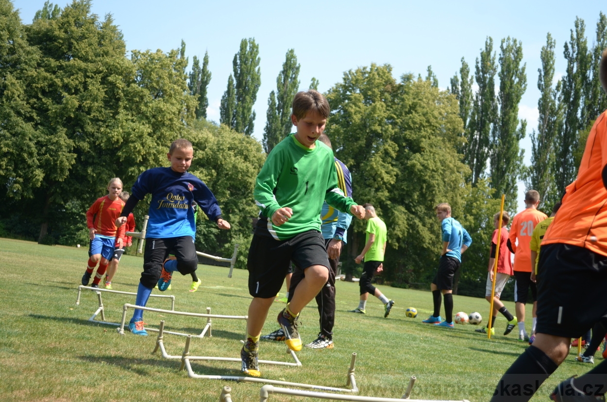 BFŠJCH - Léto 2015 - 17.7.2015