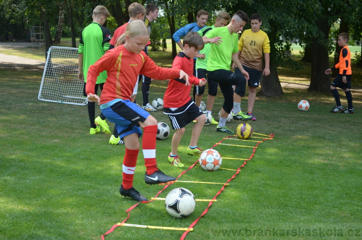 BFŠJCH - Léto 2015 - 17.7.2015