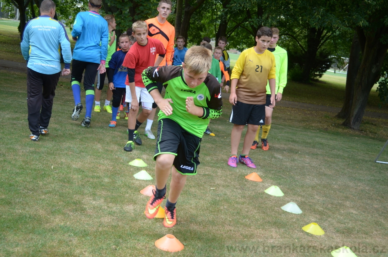 BFŠJCH - Léto 2015 - 17.7.2015