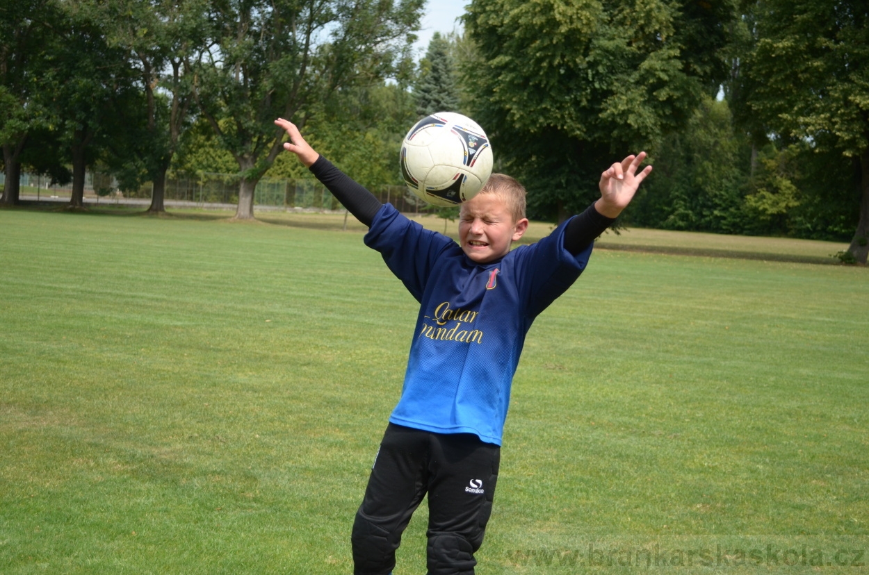 BFŠJCH - Léto 2015 - 17.7.2015