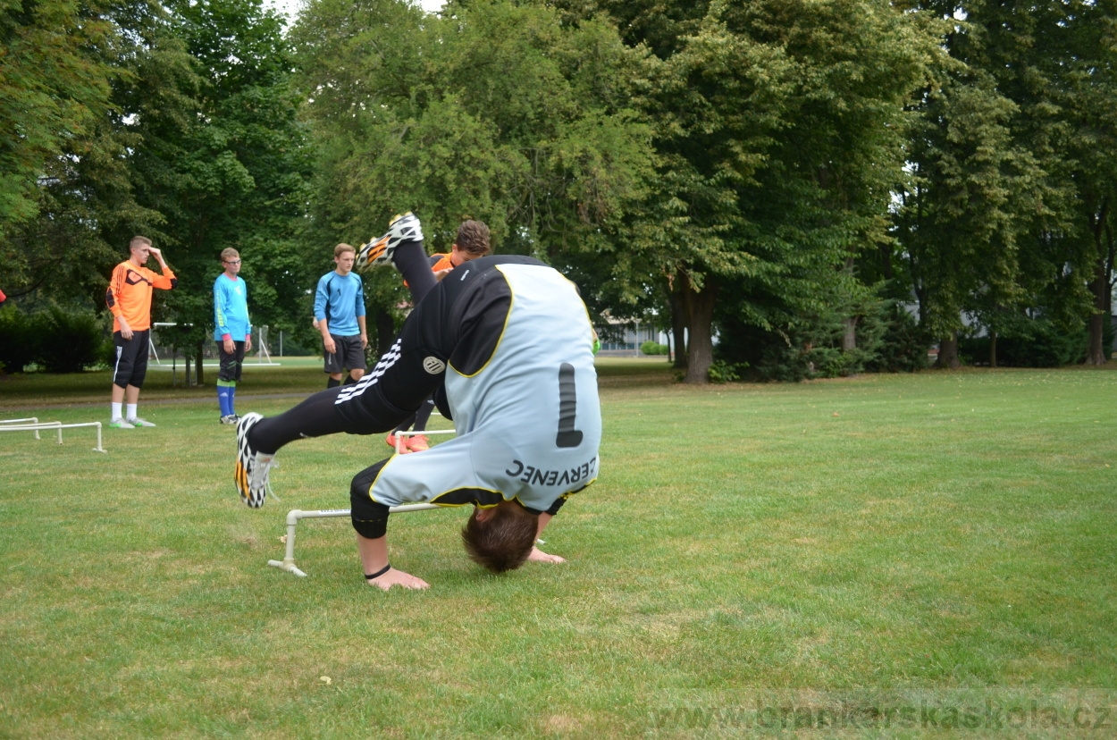 BFŠJCH - Léto 2015 - 17.7.2015