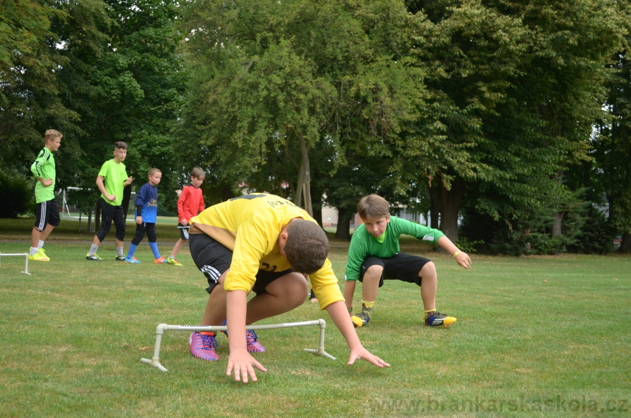 BFŠJCH - Léto 2015 - 17.7.2015