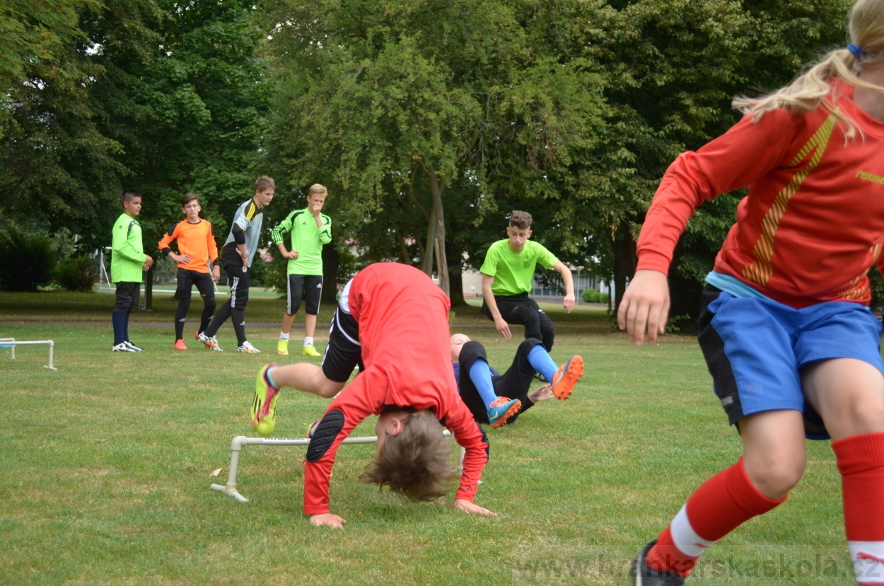 BFŠJCH - Léto 2015 - 17.7.2015