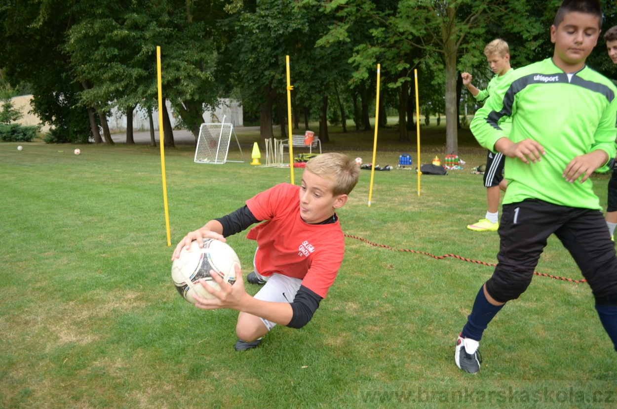 BFŠJCH - Léto 2015 - 17.7.2015