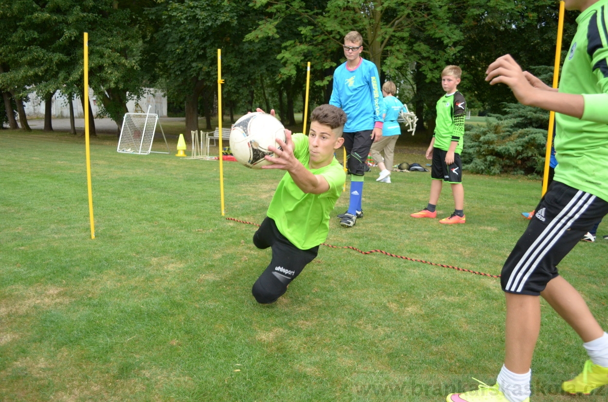 BFŠJCH - Léto 2015 - 17.7.2015