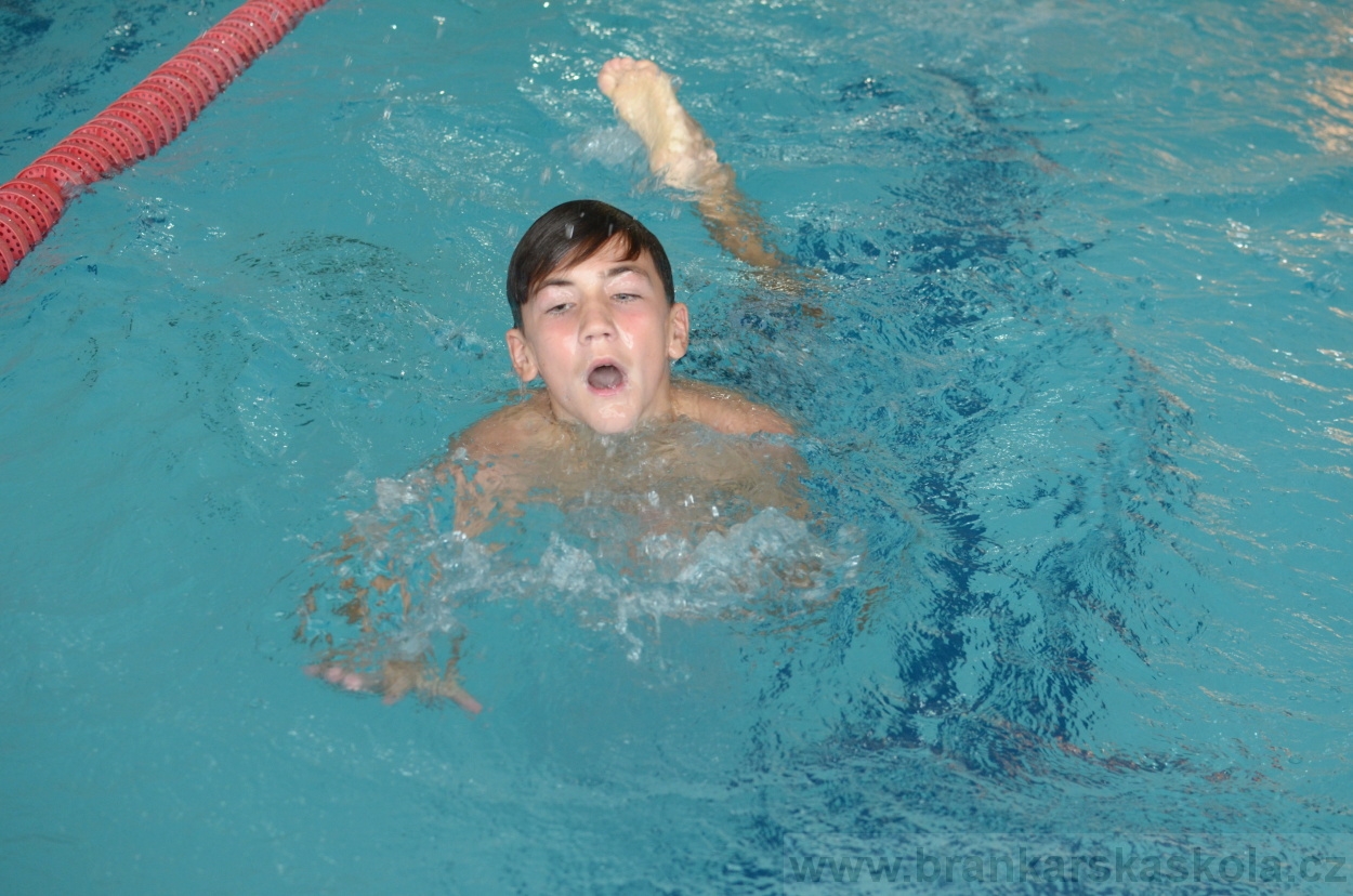 BFŠJCH - Léto 2015 - 17.7.2015