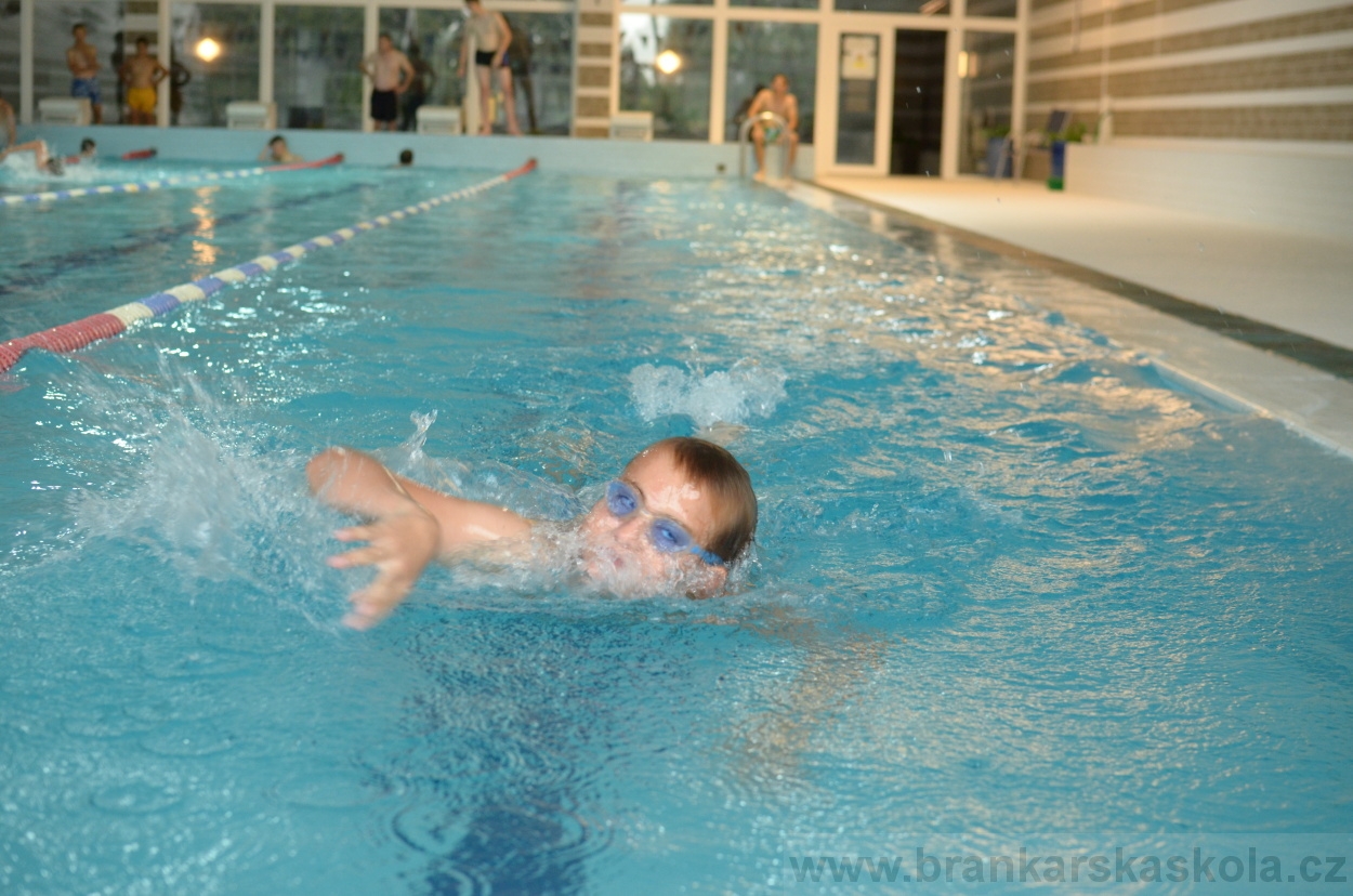 BFŠJCH - Léto 2015 - 17.7.2015