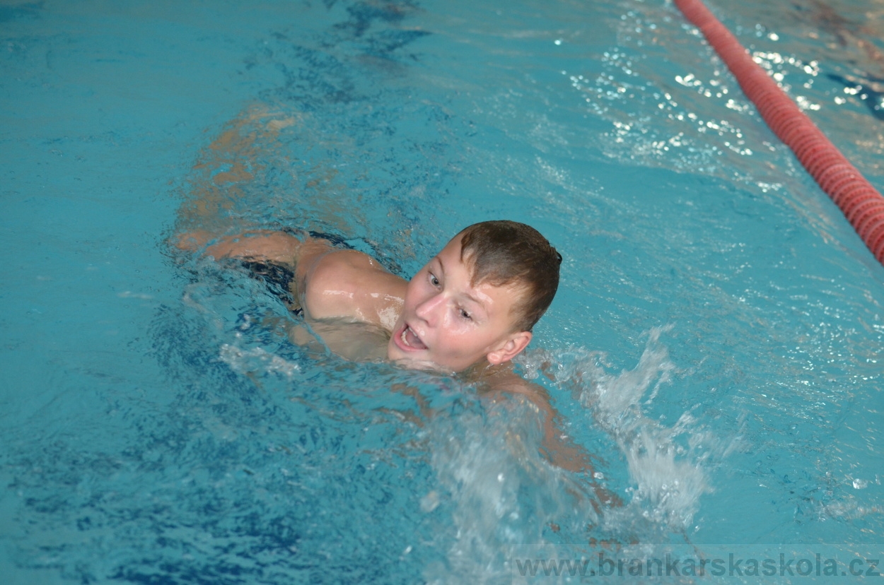 BFŠJCH - Léto 2015 - 17.7.2015