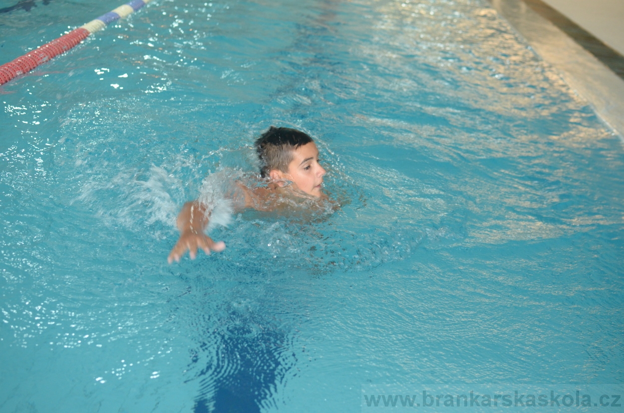 BFŠJCH - Léto 2015 - 17.7.2015