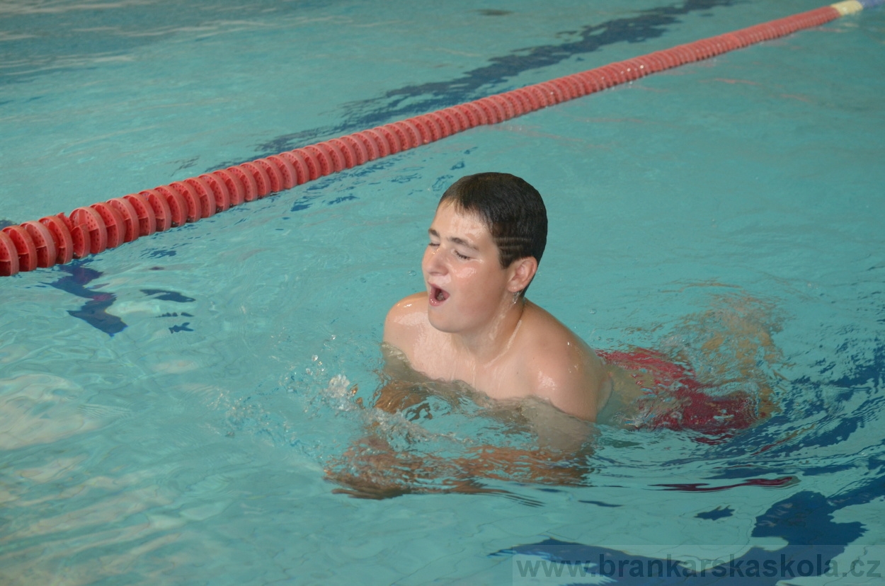 BFŠJCH - Léto 2015 - 17.7.2015