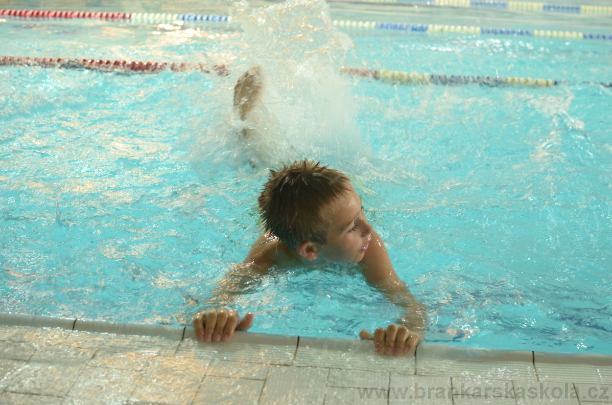 BFŠJCH - Léto 2015 - 17.7.2015