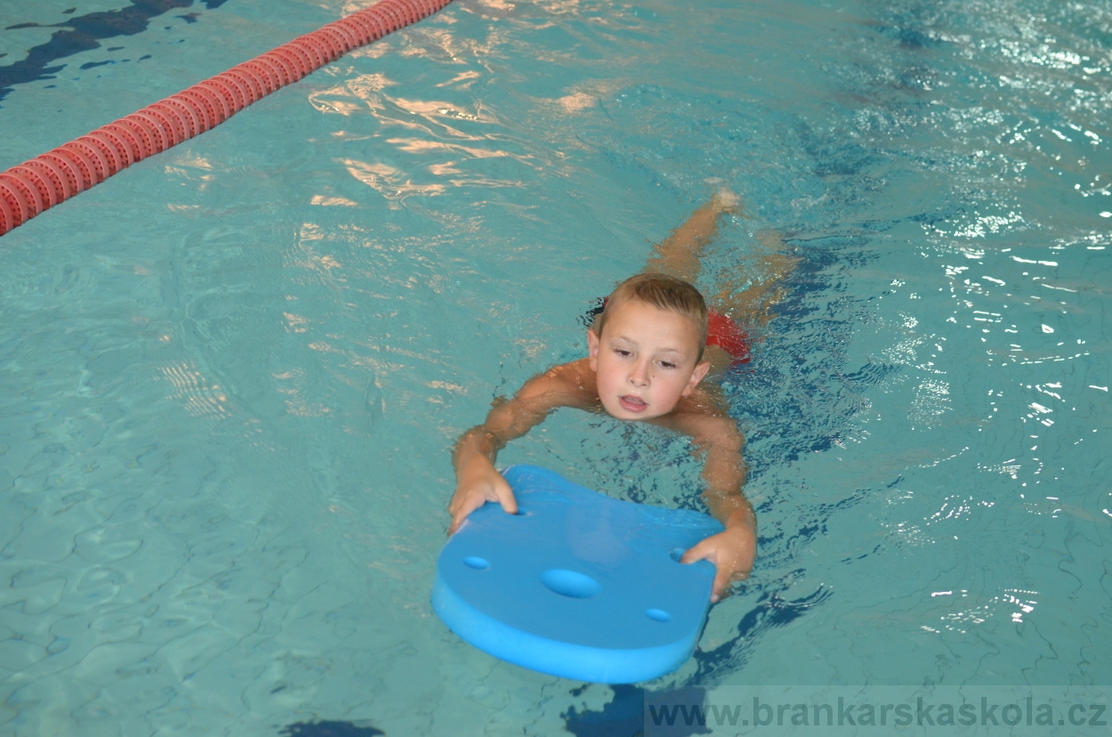 BFŠJCH - Léto 2015 - 17.7.2015