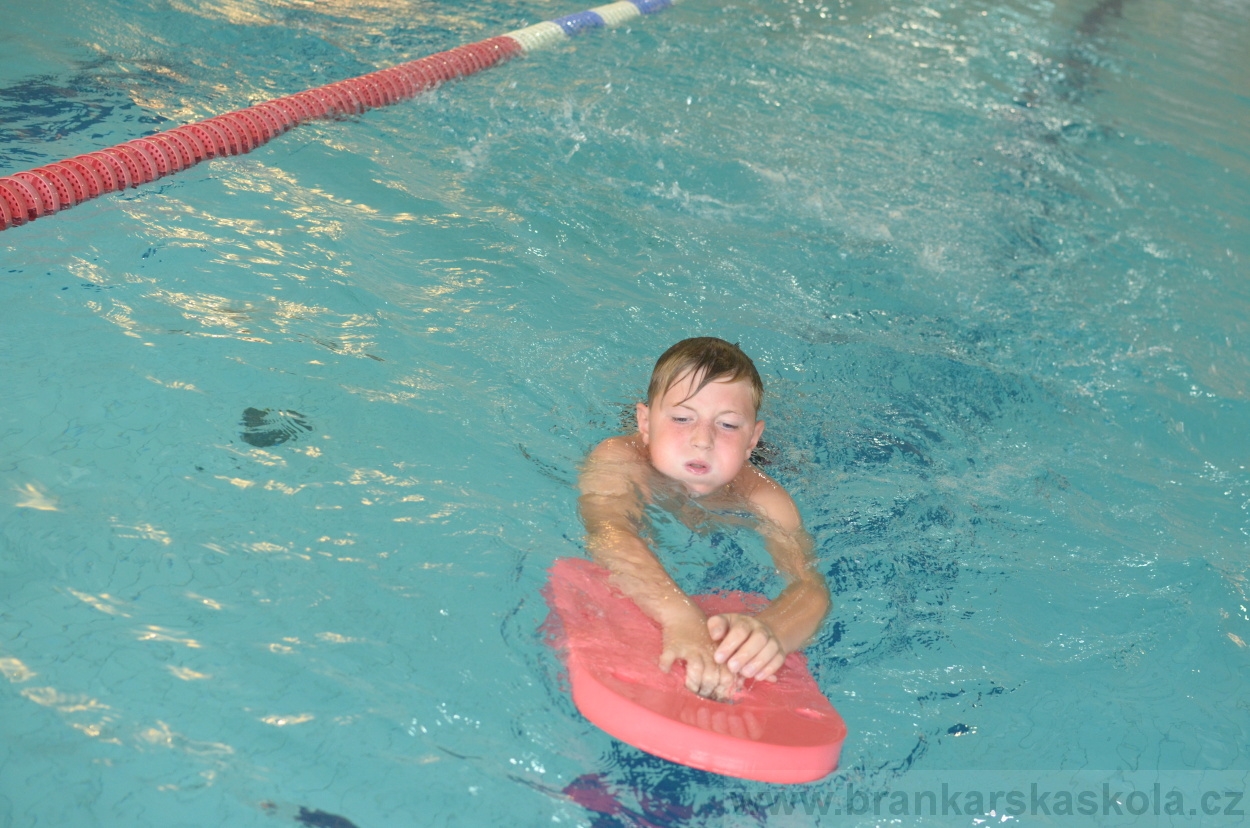 BFŠJCH - Léto 2015 - 17.7.2015