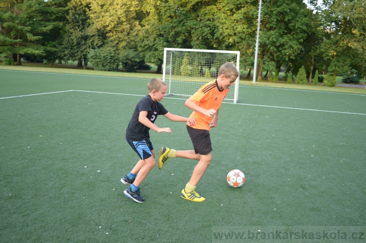 BFŠJCH - Léto 2015 - 17.7.2015