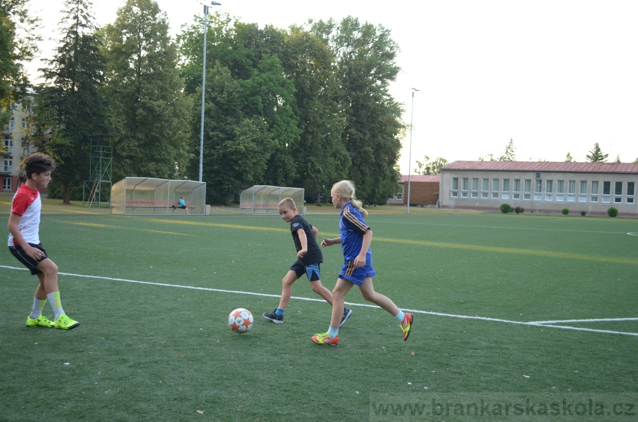 BFŠJCH - Léto 2015 - 17.7.2015