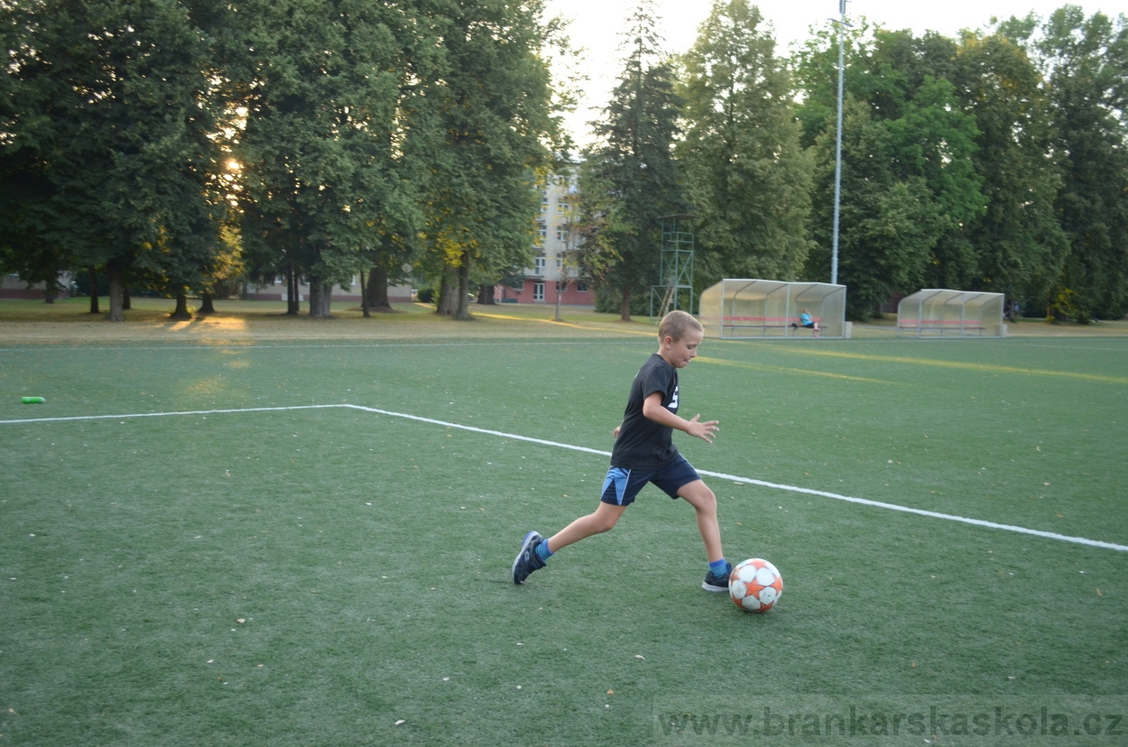 BFŠJCH - Léto 2015 - 17.7.2015