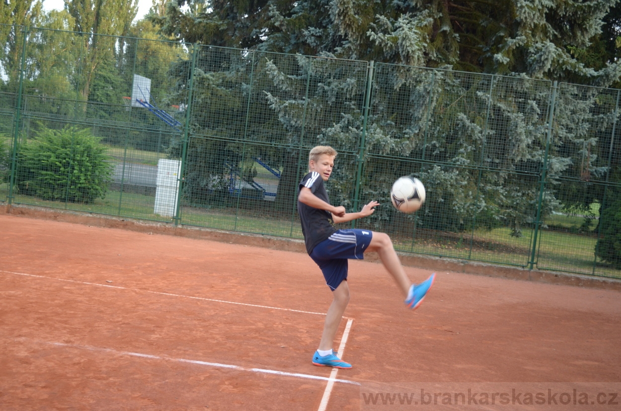 BFŠJCH - Léto 2015 - 17.7.2015