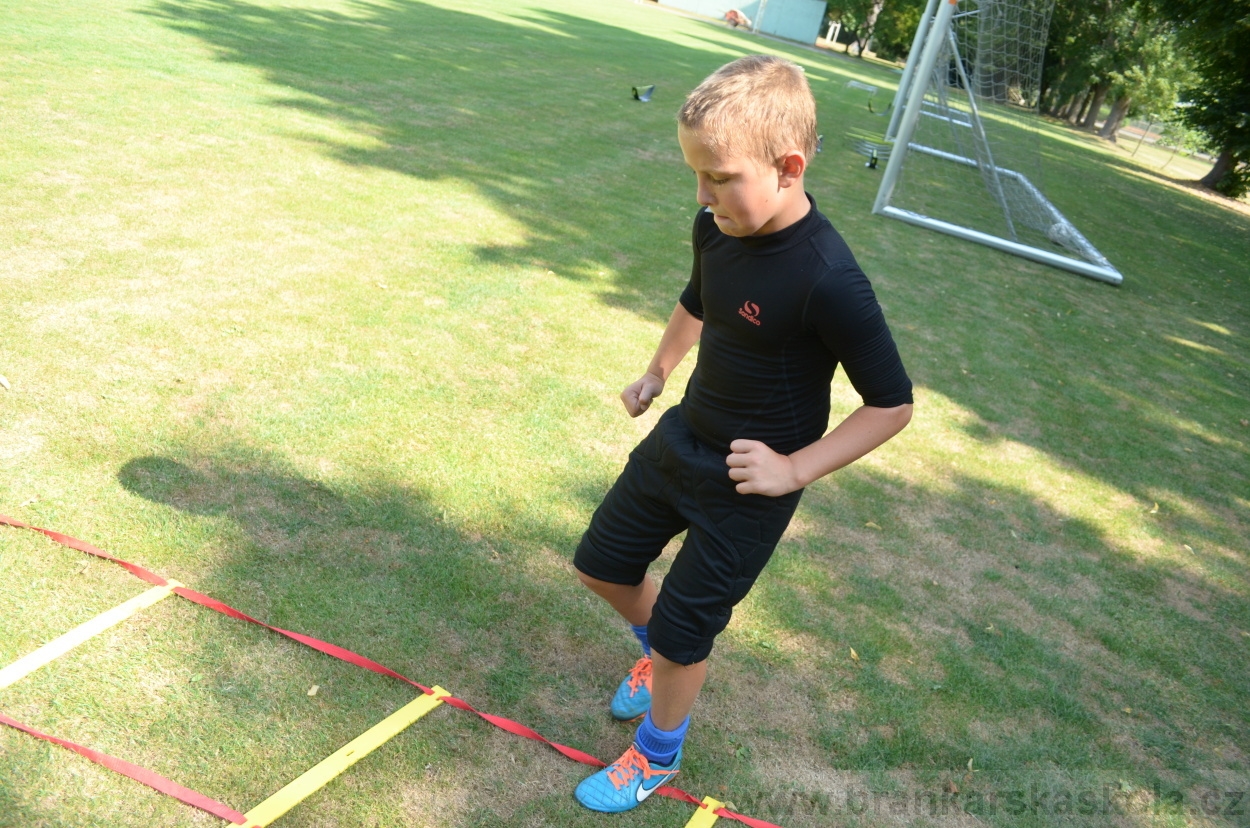 BFŠJCH - Léto 2015 - 18.7.2015