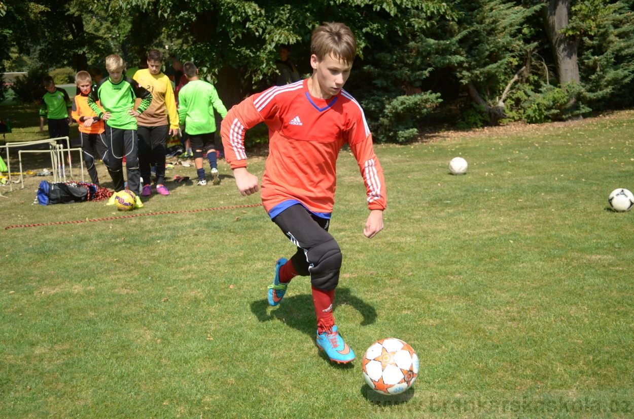 BFŠJCH - Léto 2015 - 18.7.2015