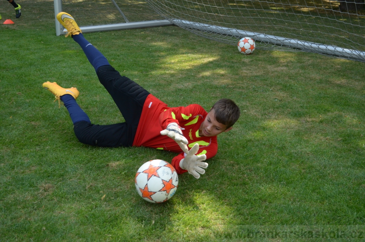 BFŠJCH - Léto 2015 - 18.7.2015