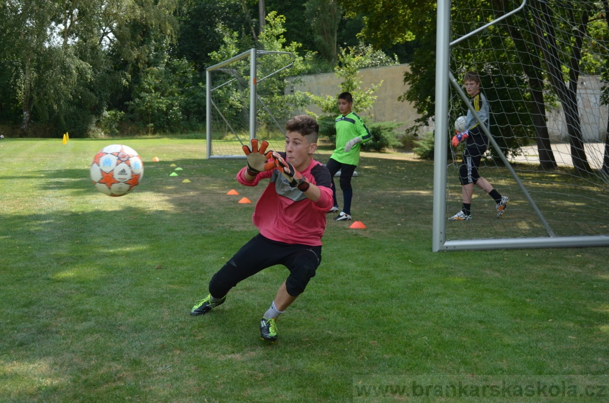 BFŠJCH - Léto 2015 - 18.7.2015