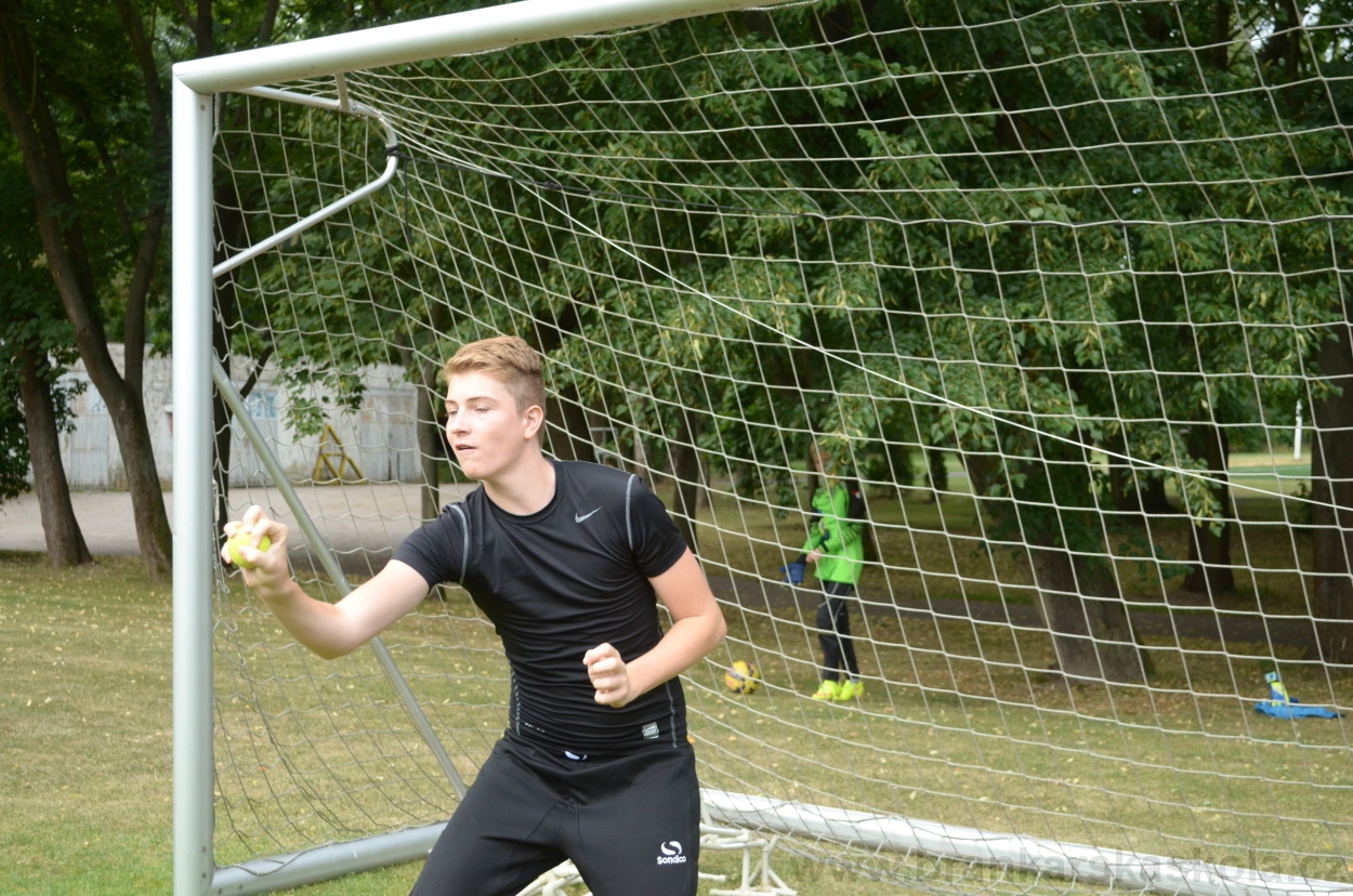 BFŠJCH - Léto 2015 - 19.7.2015