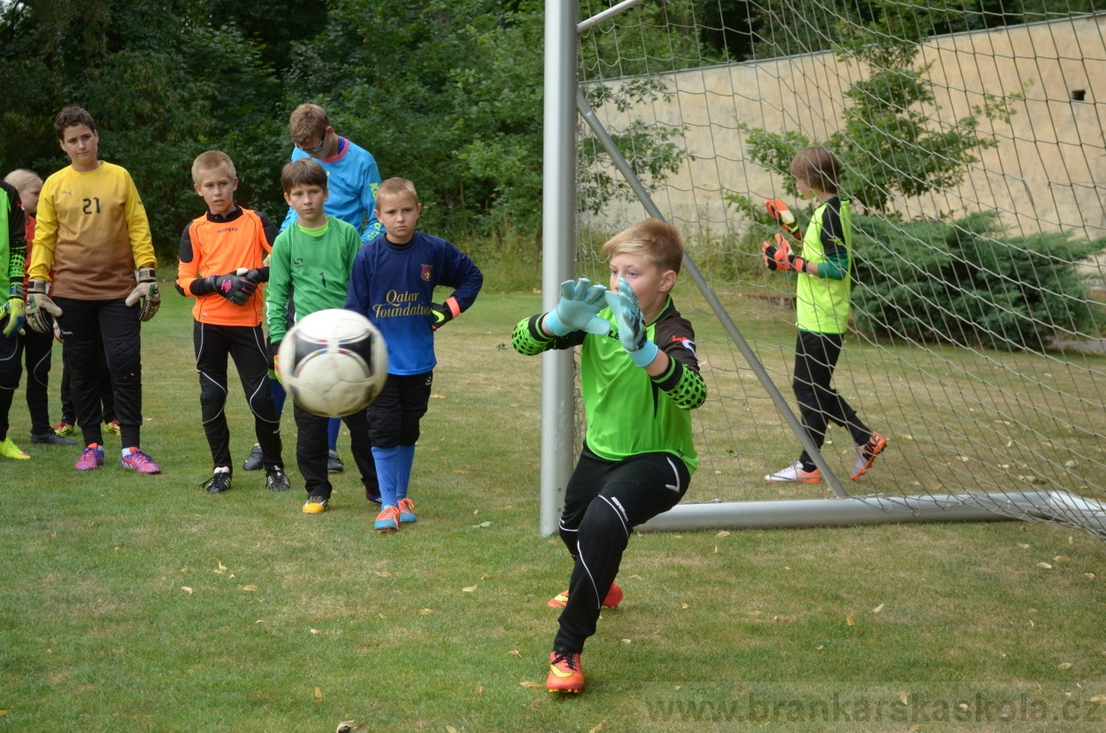 BFŠJCH - Léto 2015 - 19.7.2015