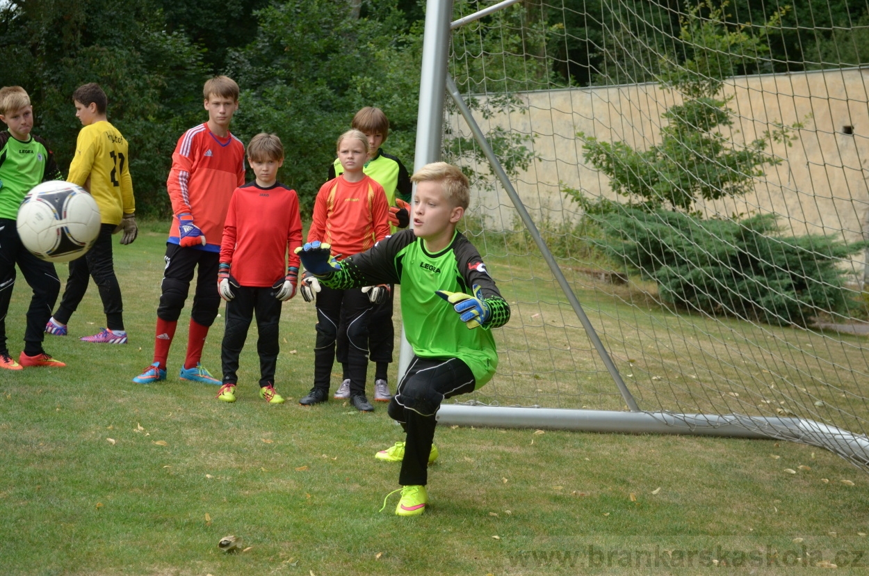 BFŠJCH - Léto 2015 - 19.7.2015