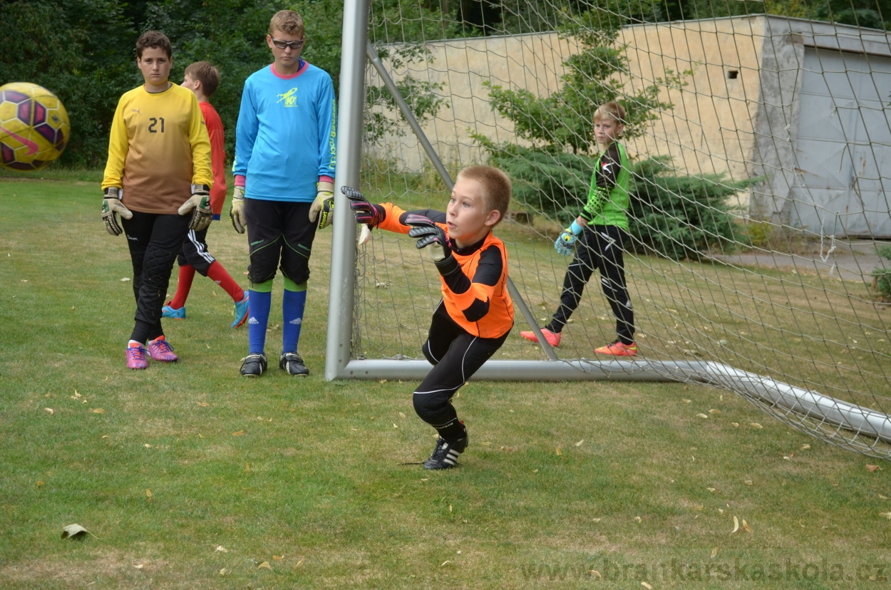 BFŠJCH - Léto 2015 - 19.7.2015