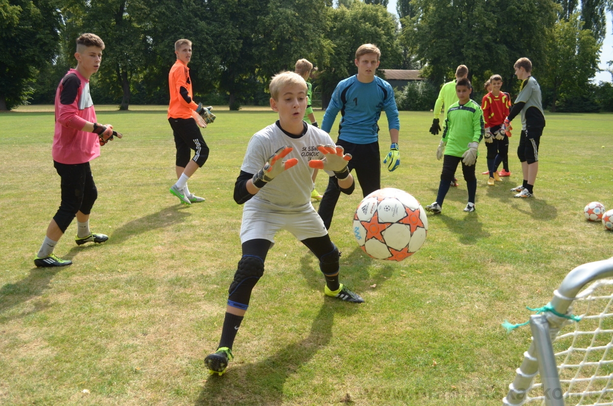 BFŠJCH - Léto 2015 - 19.7.2015