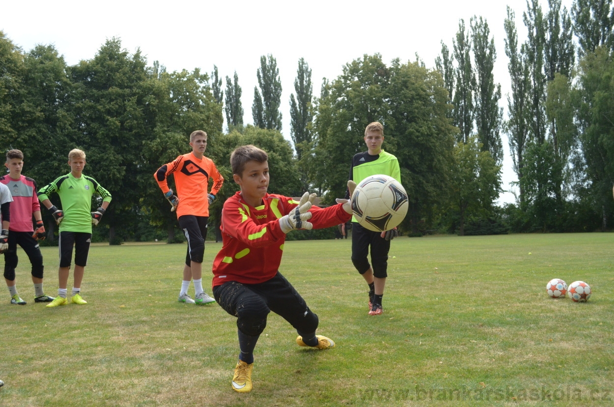 BFŠJCH - Léto 2015 - 19.7.2015