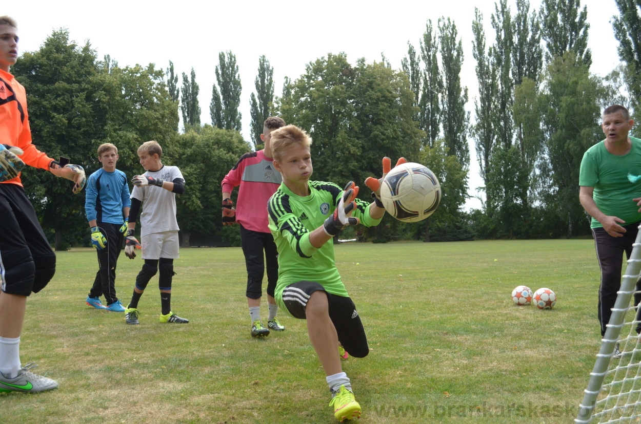 BFŠJCH - Léto 2015 - 19.7.2015