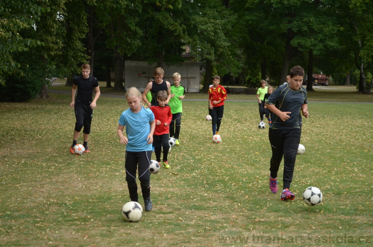 BFŠJCH - Léto 2015 - 19.7.2015