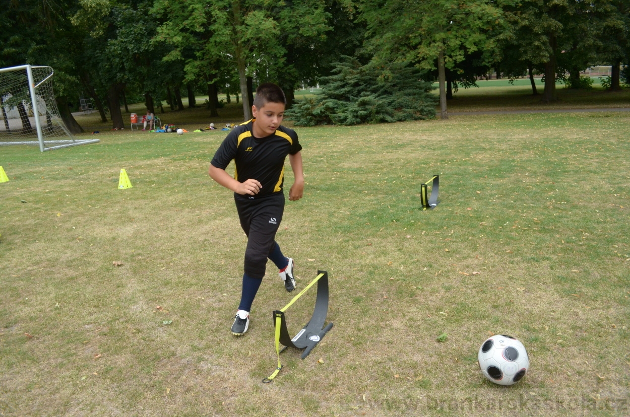 BFŠJCH - Léto 2015 - 19.7.2015