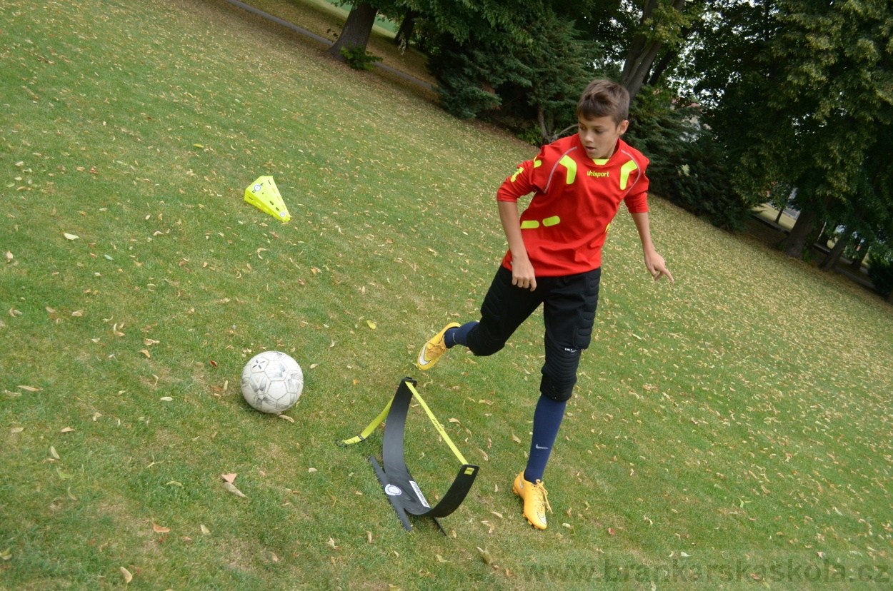 BFŠJCH - Léto 2015 - 19.7.2015