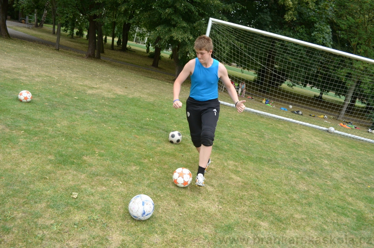 BFŠJCH - Léto 2015 - 19.7.2015